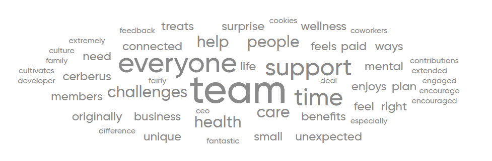 Cerbeurs Team Word Cloud Cerbeurs Team Word Cloud
