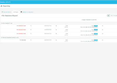 Cerberus FTP Server v13 Report Manager