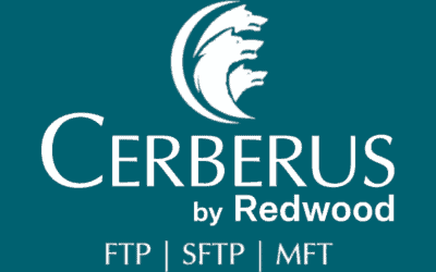 Cerberus 2025.1: Enhanced security and streamlined setup await