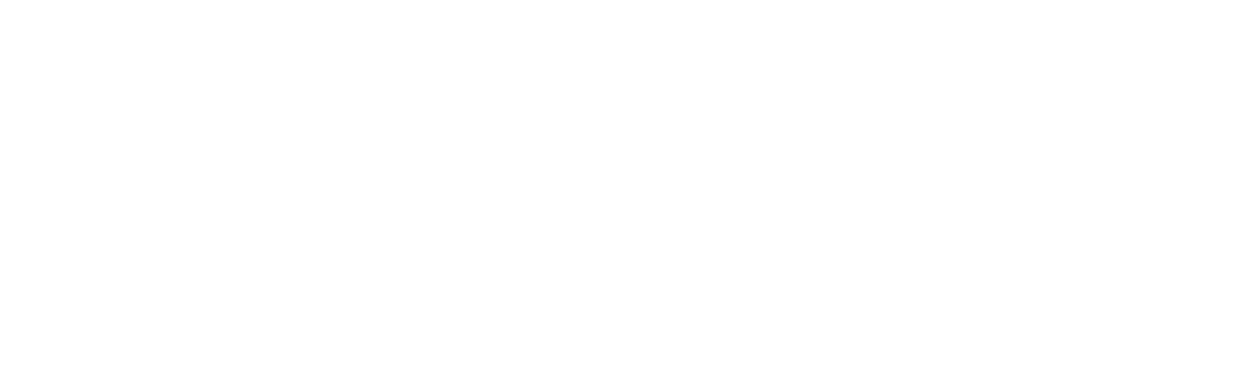 cerberus logo light